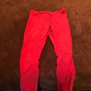 Long Tall Sally Red Denim Jeans